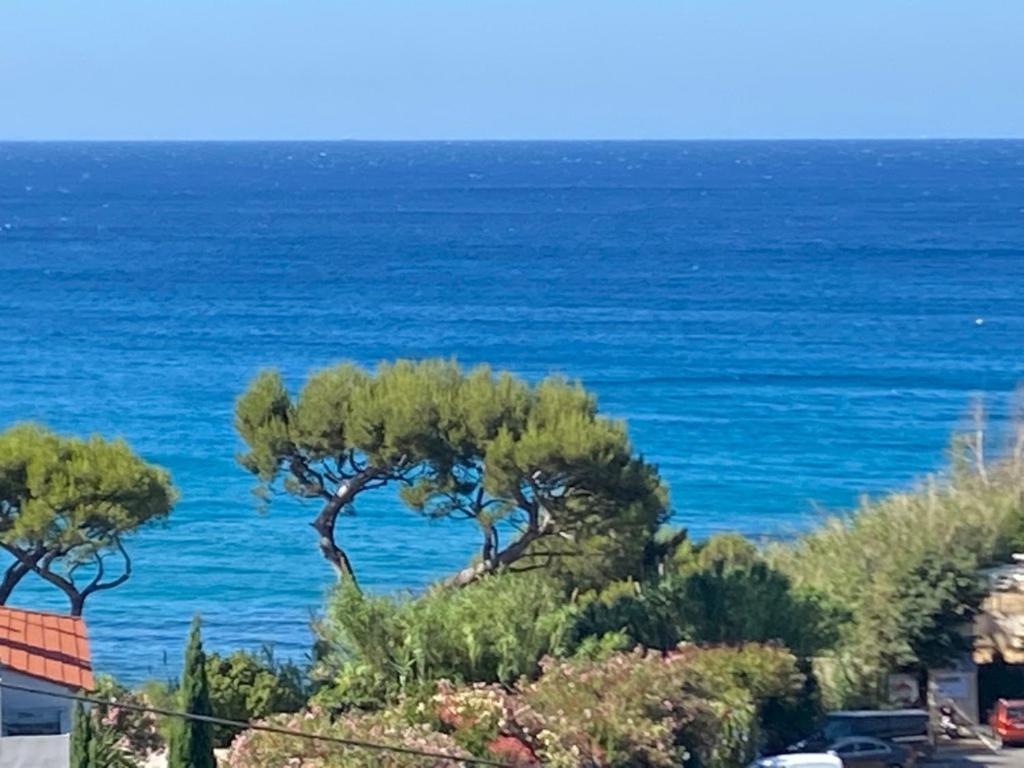 Face A La Mer, Cassis Et Son Cap Canaille 外观 照片